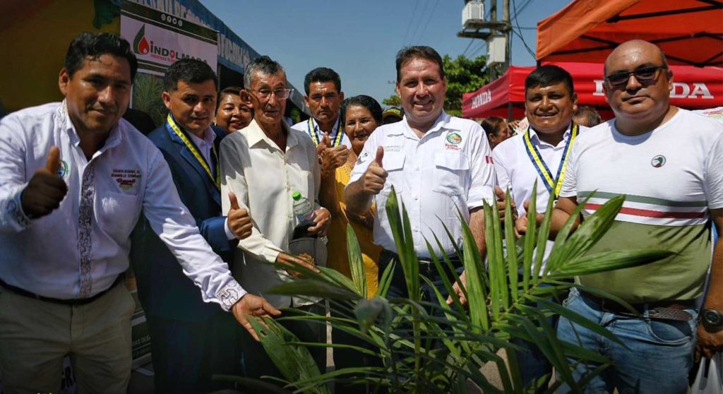 Ucayali lidera la producción de palma aceitera en la Amazonía y el Perú