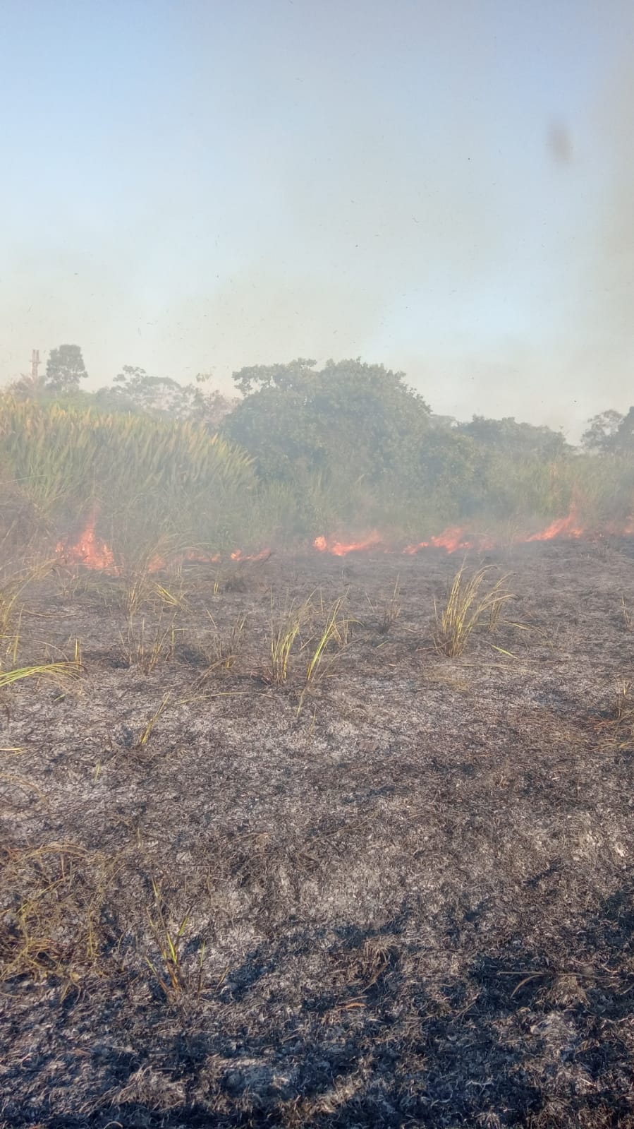 incendio forestal en Yarinacocha