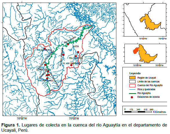 ANA alerta sobre presencia de mercurio en el Rio Aguaytía que afectaría la salud 