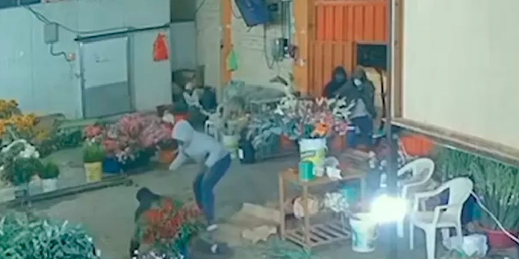 Comerciante de flores es baleado por delincuentes tras resistirse a un asalto