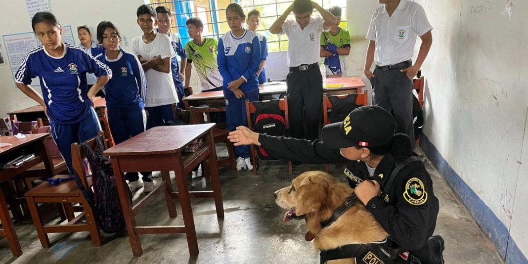 Realizan operativo de prevención de micro comercialización de drogas