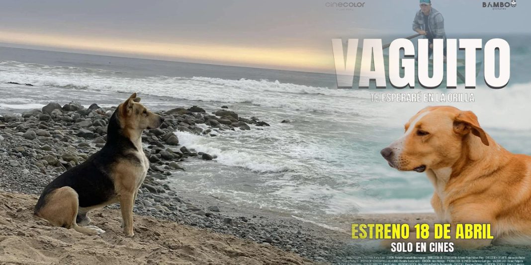 ¿Quién es ‘Vaguito’? El perro que inspiró la película taquillera a nivel nacional