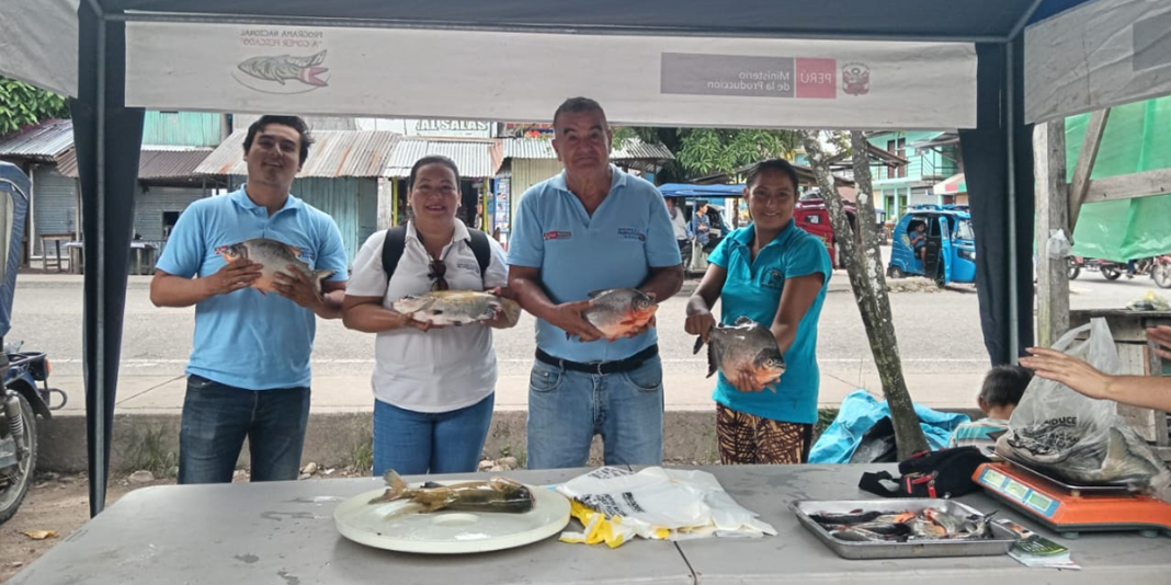 Incrementan oferta de pescado en Padre Abad