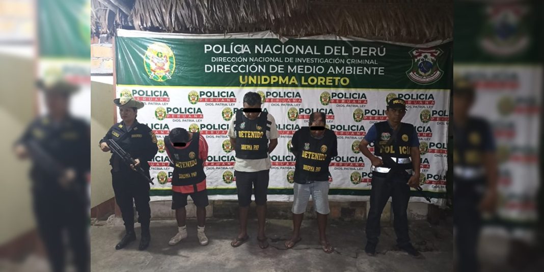 Loreto: Incautan 13 trozas de producto forestal maderable de contrabando