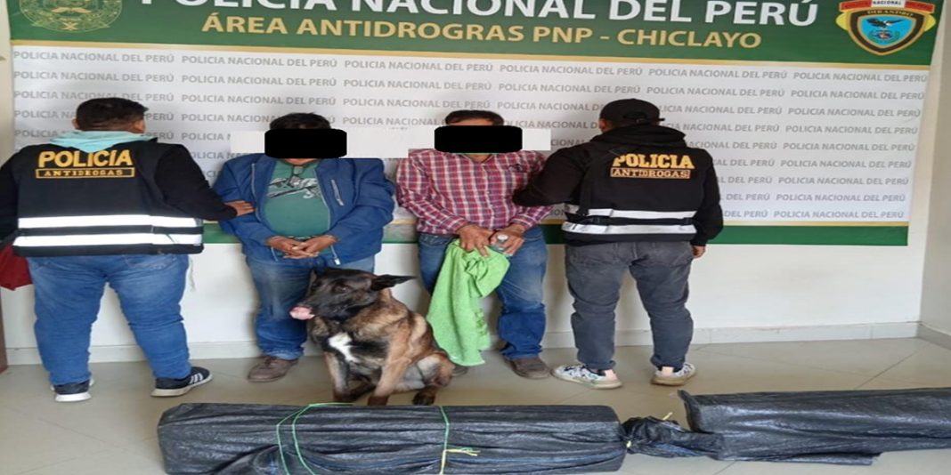 Chiclayo: Decomisan 31 kilos de pasta básica de cocaína en un bus interprovincial