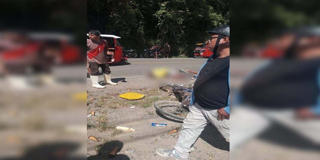 Tingo María: Vendedor de helados muere atropellado mientras trabajaba