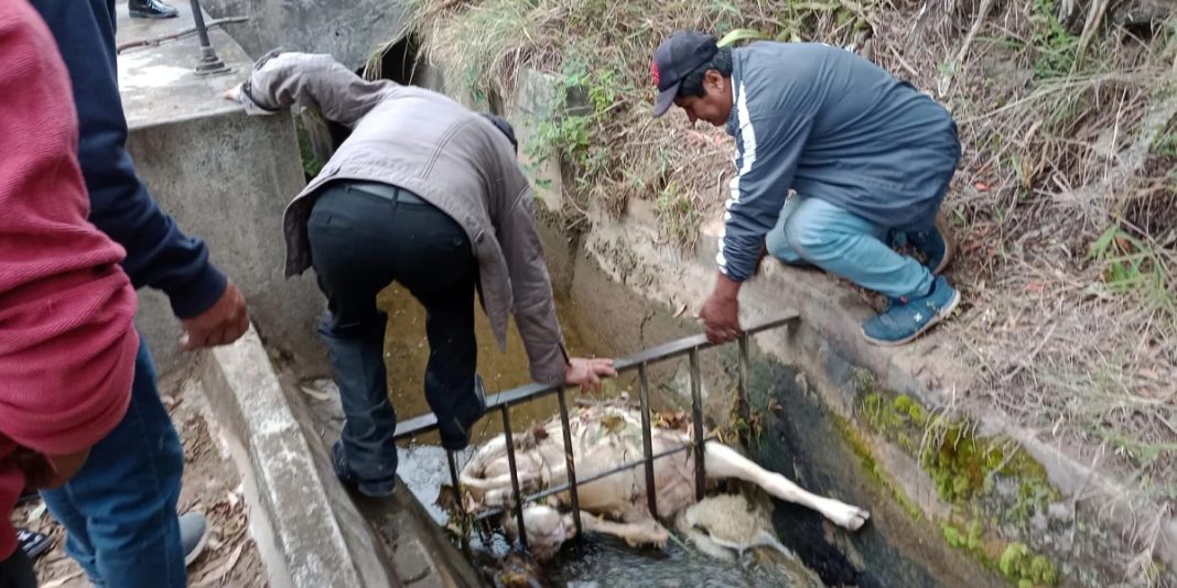 Huánuco: Vecinos de Marabamba denuncian contaminación del agua