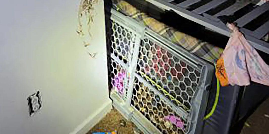 EE.UU: Hallan a niño enjaulado y empapado de heces y orina en la casa de madre