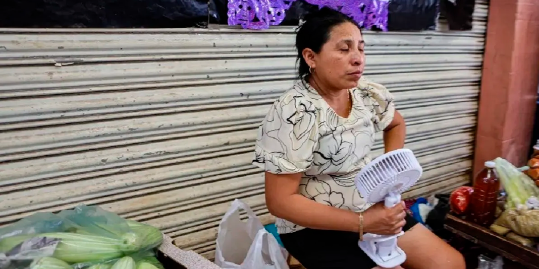 Calor extremo en México: 61 muertes por altas temperaturas en lo que va del año