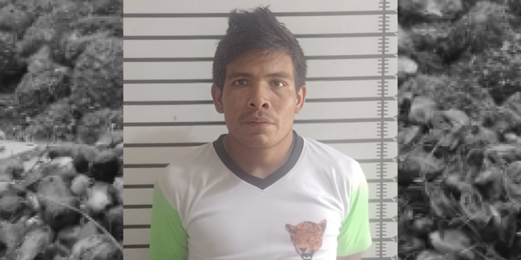 Aprehenden a sujeto cuando robaba frutos de palma aceitera Aprehenden a sujeto cuando robaba frutos de palma aceitera