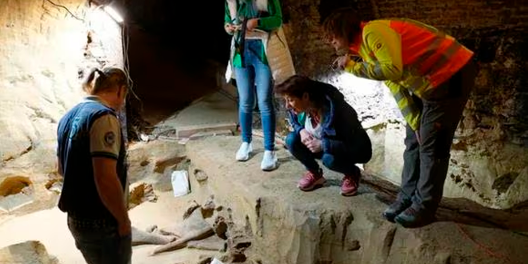 Descubren huesos de mamut de 40,000 años en bodega de viticultor austriaco