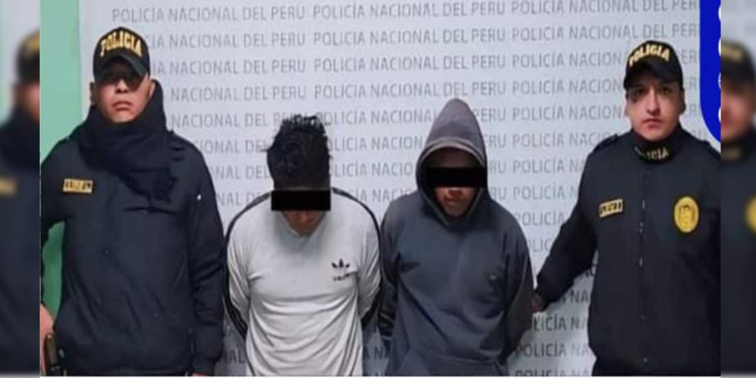 Pasco: Arrestan a dos jóvenes acusados de robar ganado en Ticlacayan