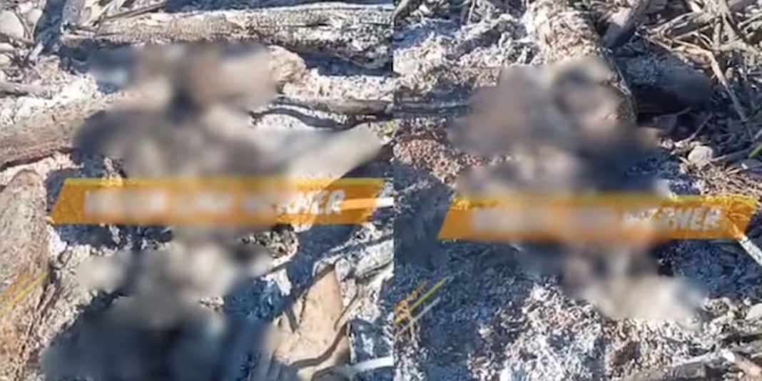 Vraem: Queman a dos venezolanos acusados de matar a dos jóvenes