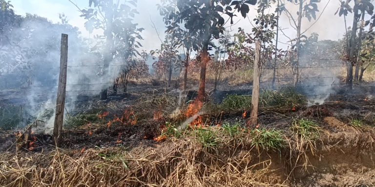 San Martín: Aumentan los incendios forestales causados por la quema de basura