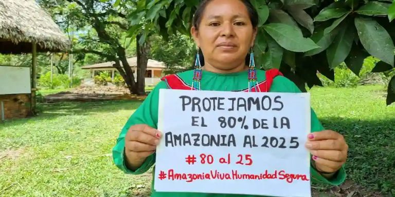 Solicitan a bancos detener financiación de extracción de petróleo y gas en la amazonía