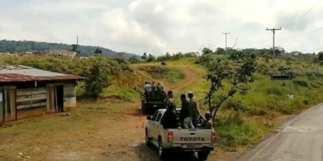 Detienen banda dedicada a robar vehículos y venderlos en diversas regiones
