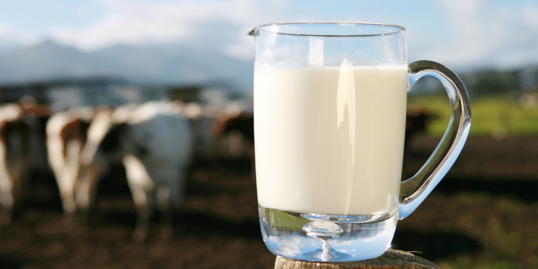 La leche es el alimento más completo para un crecimiento saludable