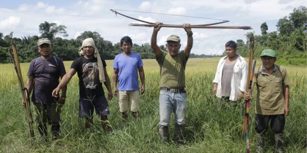 Comuneros de Caimito aplicarán justicia indígena ante ingreso de menonitas a sus bosques