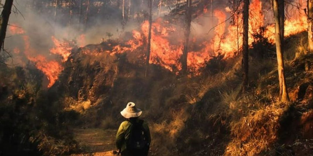Altas temperaturas que azotan la región crean condiciones para el aumento de incendios forestales Altas temperaturas que azotan la región crean condiciones para el aumento de incendios forestales