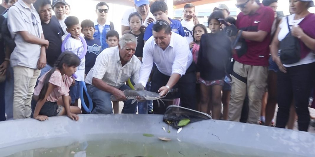 En inauguración de boulevard presentaron pez híbrido