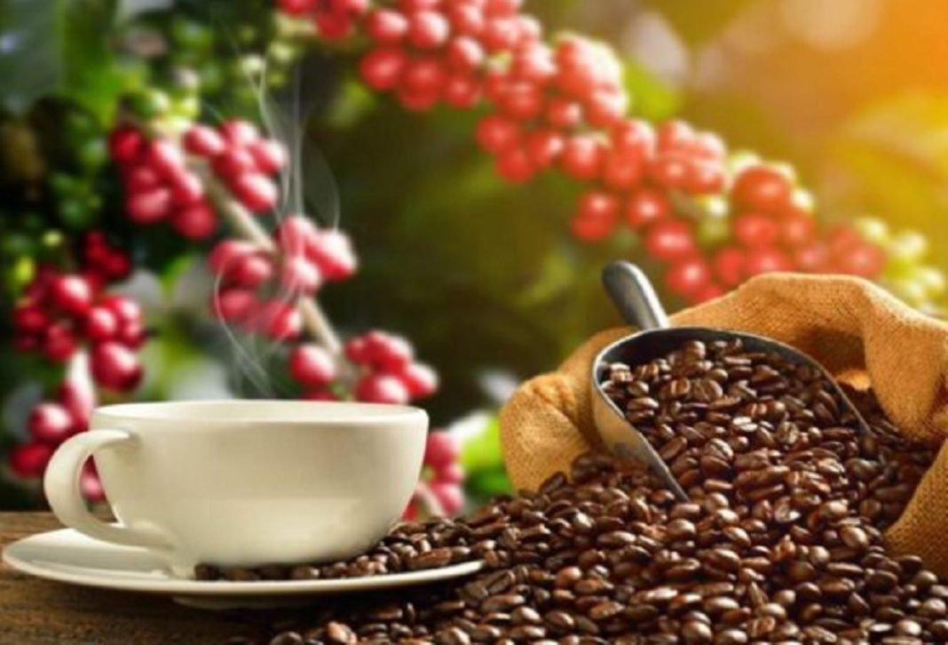 Celebración del Día del Café Peruano: Festividades y eventos para destacar el grano nacional