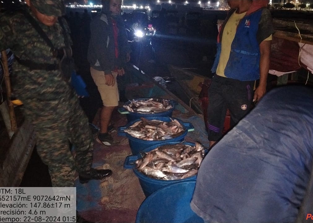 Decomisan 450 Kilos de pescado ilegal en Ucayali