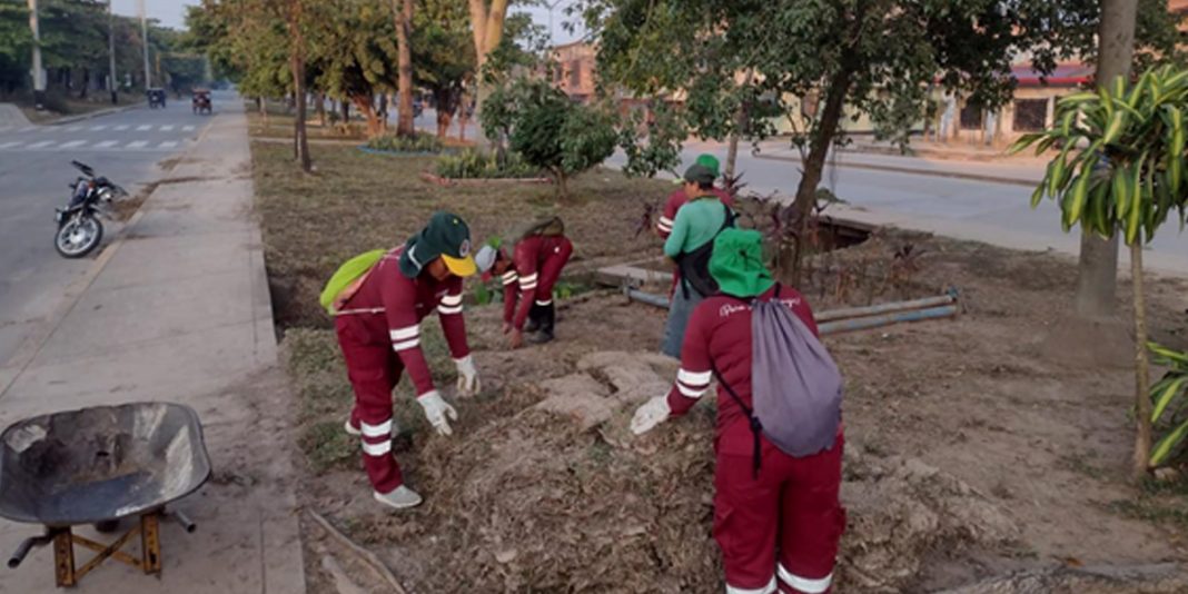 Trabajan en mantenimiento y ampliación de más áreas verdes en la ciudad