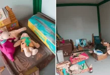 Peruano Compra Contenedor por S/300 en Chorrillos y Descubre Sorprendente Tesoro