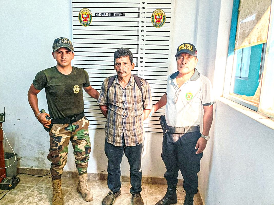 Detienen a sujeto que había talado madera de la especie bolaina