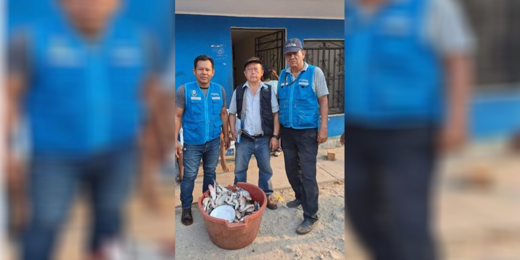 Decomisan 450 kilos de pescado capturado ilegalmente