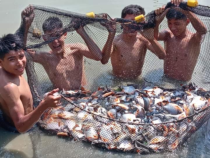 Proyecto agro piscícola transforma vida de 3 mil estudiantes Proyecto agro piscícola transforma vida de 3 mil estudiantes