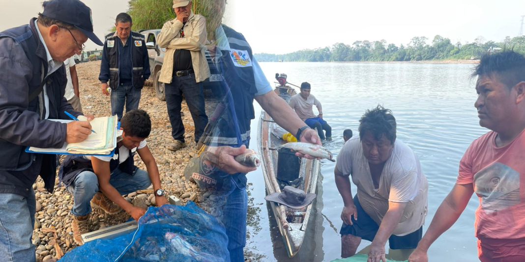 Pescadores deben aprovechar amnistía hasta 30 de agosto