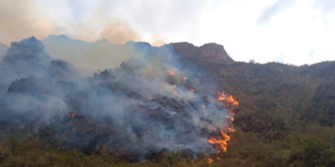 Pasco: incendio forestal devasta más de 10 hectáreas en Huariaca