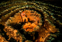 El cacao se originó y domesticó en la Amazonía según nuevo descubrimiento