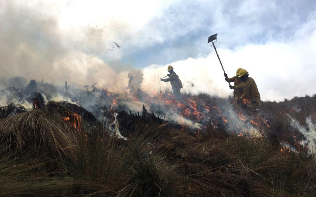 Ucayali ocupa el segundo puesto en incendios forestales