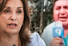 “No necesito tus lágrimas”: Boluarte responde a periodista que suplicó ayuda por incendios forestales