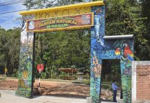 Procesarán penalmente a seis funcionarios del GOREU por caso Parque Natural de Pucallpa